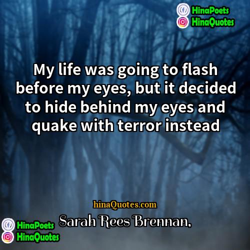 Sarah Rees Brennan Quotes | My life was going to flash before